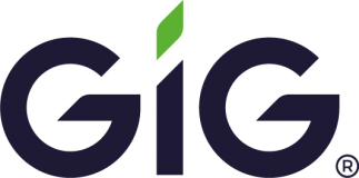 Logo GIG azul