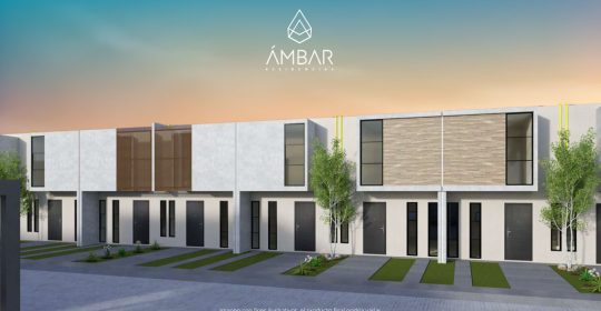 ambar-cover